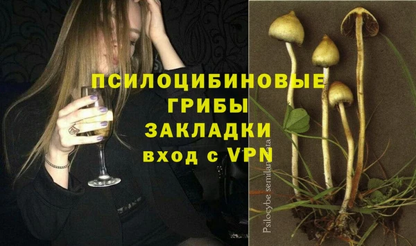 MDMA Новодвинск