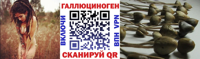 продажа наркотиков Мышкин Галлюциногенные грибы мицелий